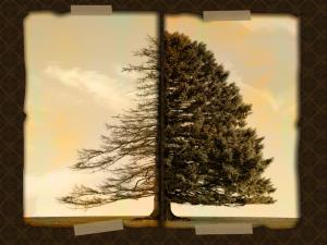 belalardan kurtulmak