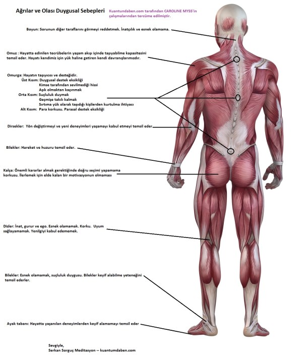 vücudumuz ve ağrılar
