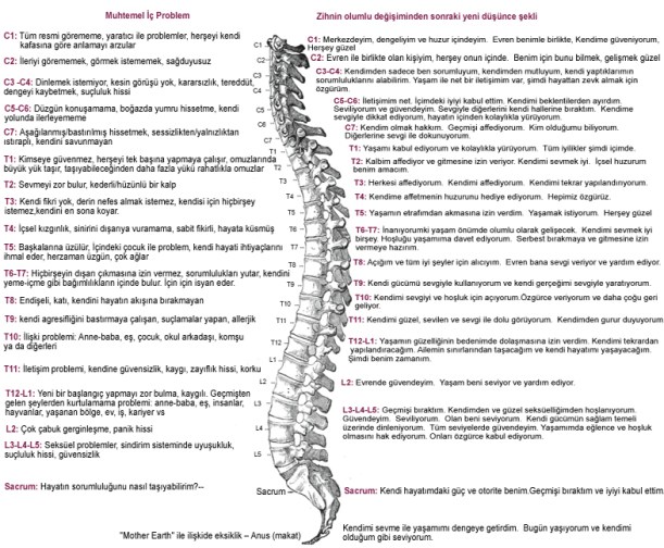 bağlantı tablosu omurga