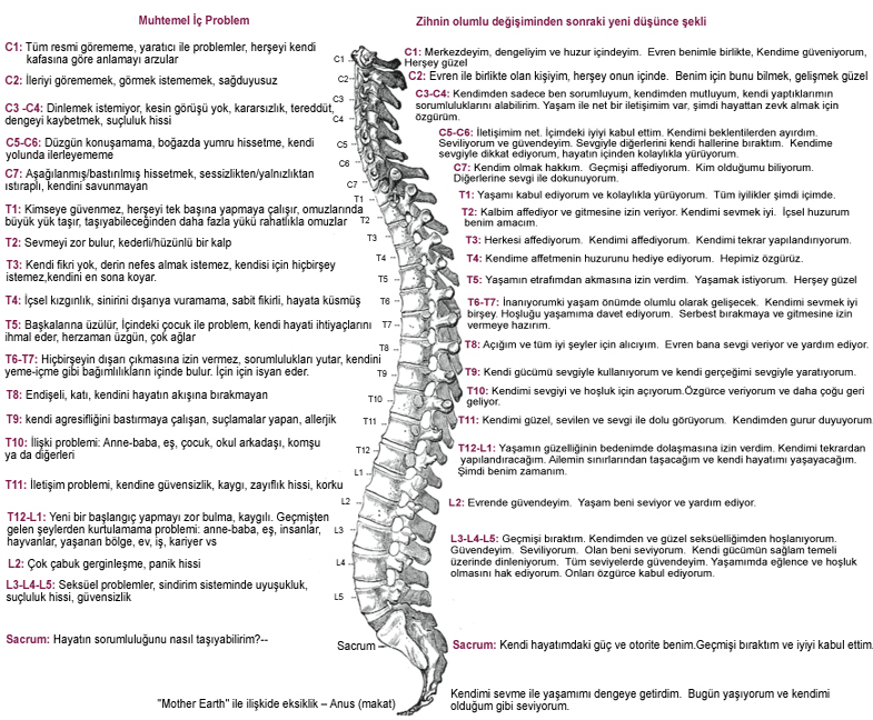 bağlantı tablosu omurga